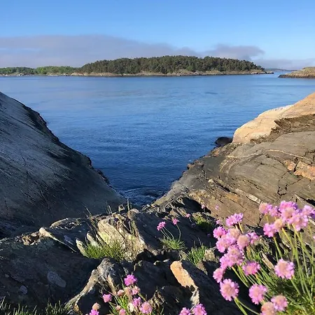 Feriesenter Resort 5*